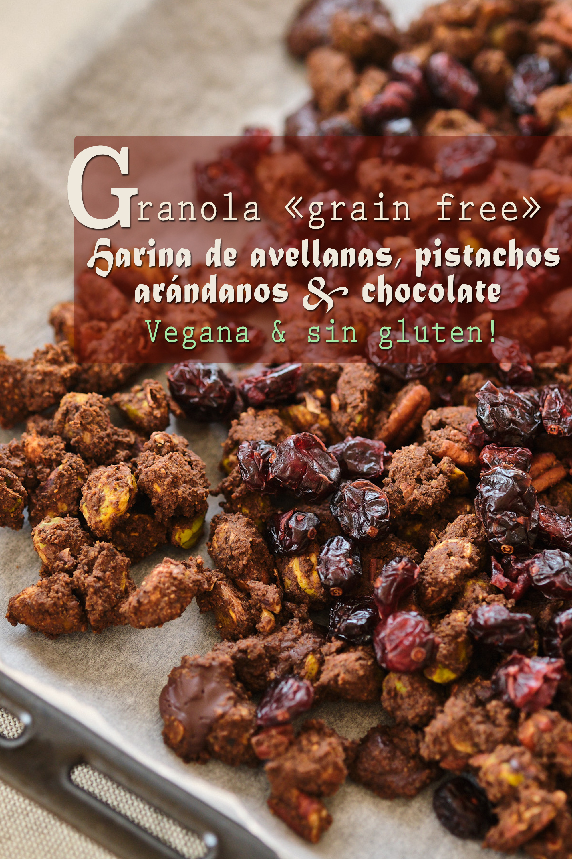 Granola « grain free » con harina de avellanas, pistachos, arándanos y chocolate negro (vegana, sin gluten)