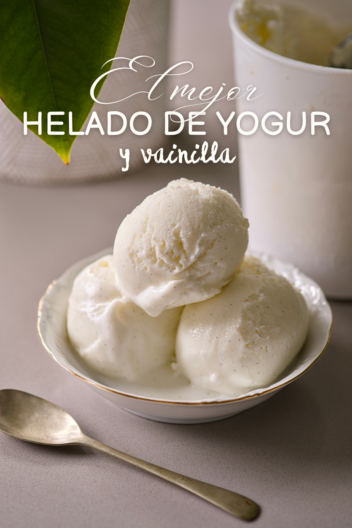 Helado de yogur y vainilla (sin nata)