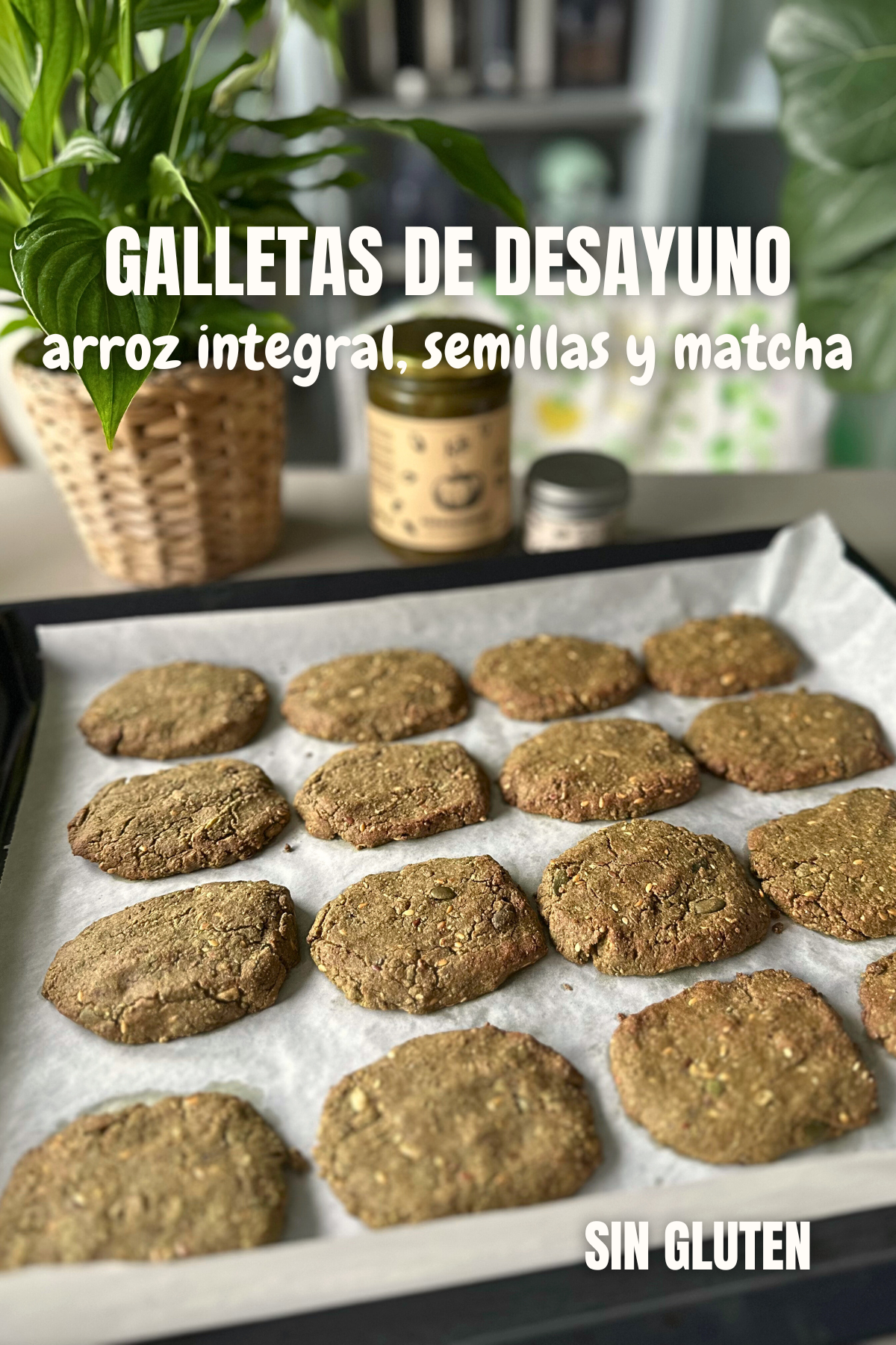 Galletas de desayuno con harina de arroz semillas y matcha
